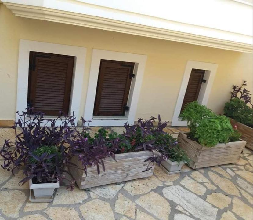Villa Karolina Tsogkas Sívota Zewnętrze zdjęcie
